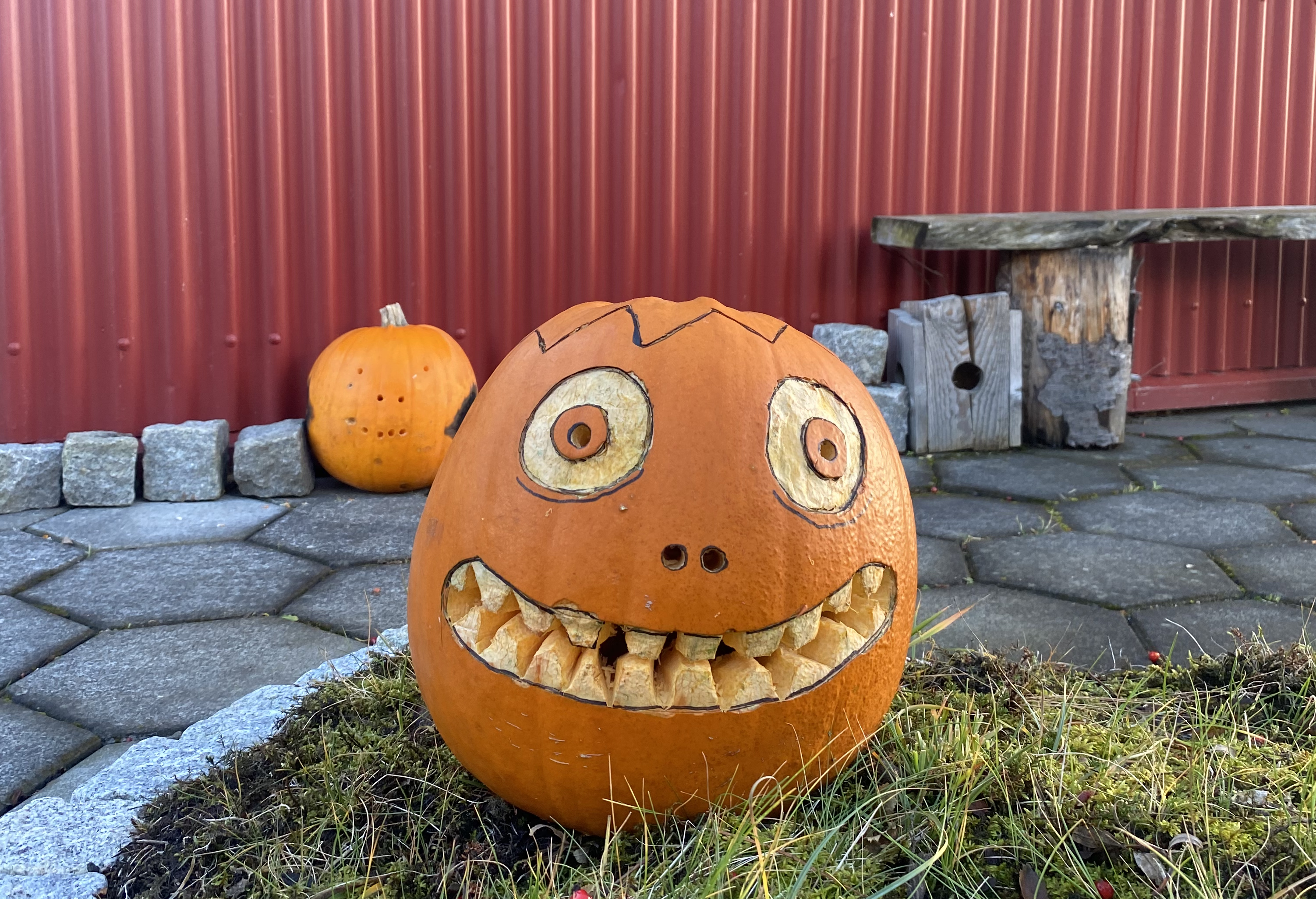 The Scary Rise of Halloween in Iceland Inspired by Iceland